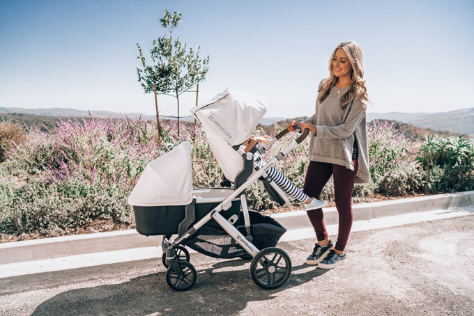 uppababy vista double stroller 2019